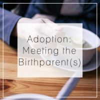 Preparing for Adoption - Meeting the Birthparent(s)